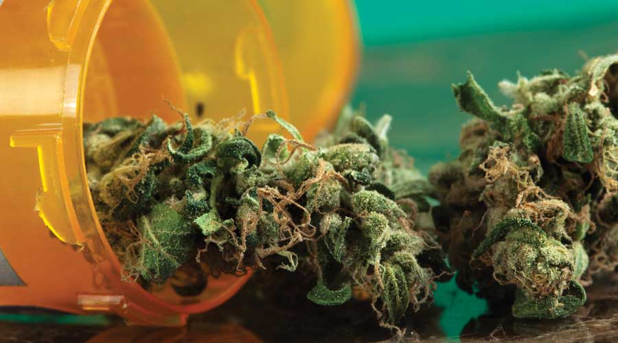 Medical Marijuana: A Look at Pharmacists' Roles in this Emerging Industry by Elements magazine | pbahealth.com