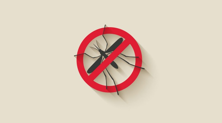 10 Tips to Help Patients Keep Bugs Away by Elements magazine | pbahealth.com